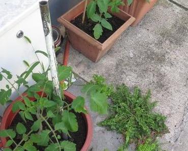 Im Garten
