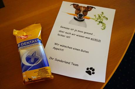 Willkommensgruß für Hunde im Sunderland Hotel im Sauerland