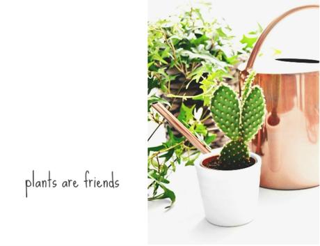 Interior: plants are friends