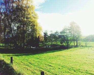 Lieblingslaufstrecke