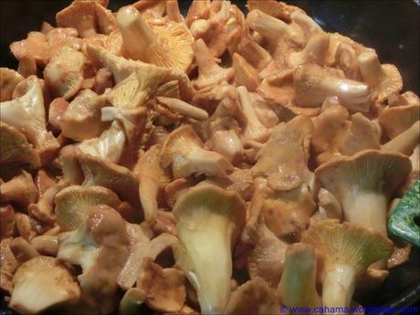 comp_CR_CIMG1615_Grüne_Nudeln_Pfifferlinge