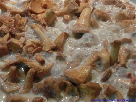 comp_CR_CIMG1620_Grüne_Nudeln_Pfifferlinge