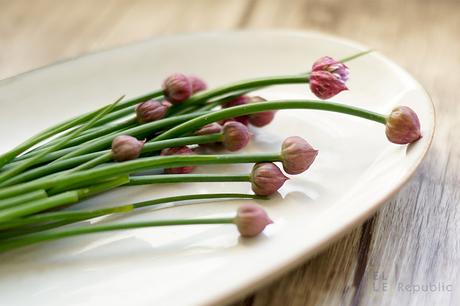 Schnittlauch Blüten – Blumen zum Essen