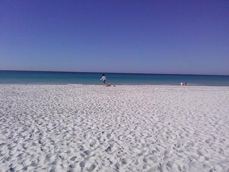 Der „hundefreundlichste Strand Floridas“
