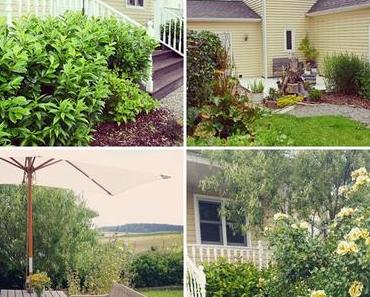 Rückblick Juli und Tipps für deine Urlaubslektüre