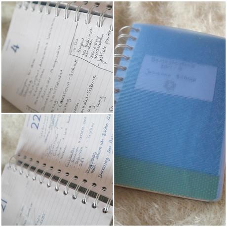 [Organistion] Notizbuch und Daily-Planner in einem: So plane ich meinen Tag und meine Blogposts