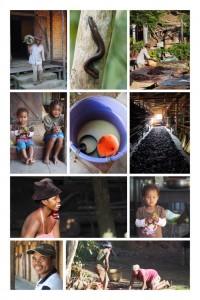 Madagaskar Reise Vanille Norden 