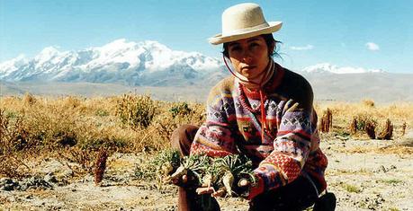 Maca – alles über das antike Superfood der Inkas