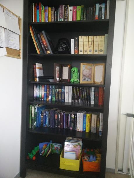 Meine Bücherregale