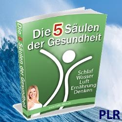 Wellness-Wave-eBook-PLR