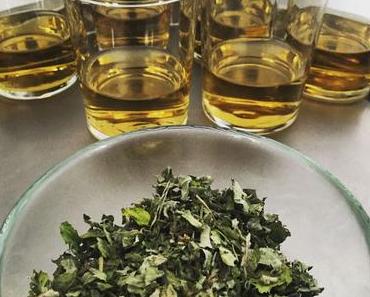 {zu Gast} Sonnentor - würz dich um die Welt