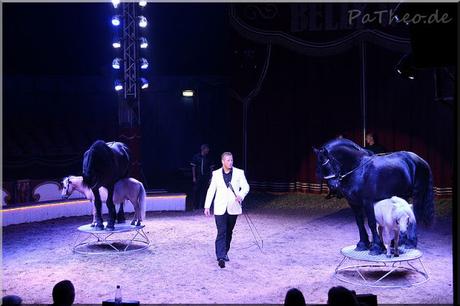 Circus Belly Wien in Rheeze (Niederlande) am 15.08.2015