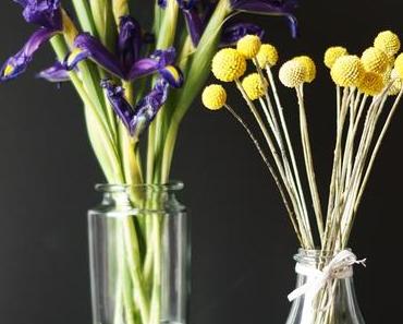 Flower Friday mit Iris und Rainfarn