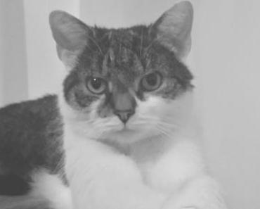 20082015 Ein Trauriger Tag !