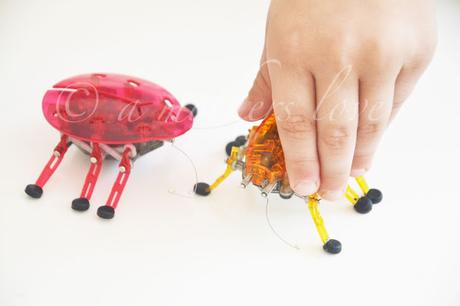 Hexbug - Roboter Spielzeug