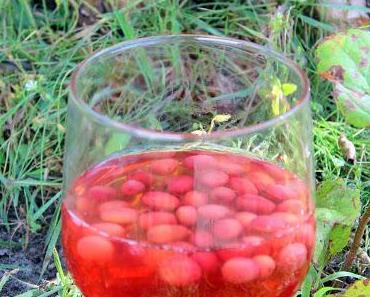 Kızılcık Şerbeti /Kornelkirschensirup