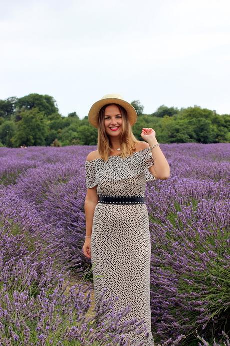 outfit_lavender_fields-3