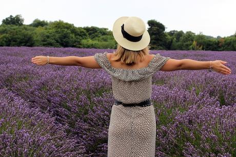 outfit_lavender_fields-5