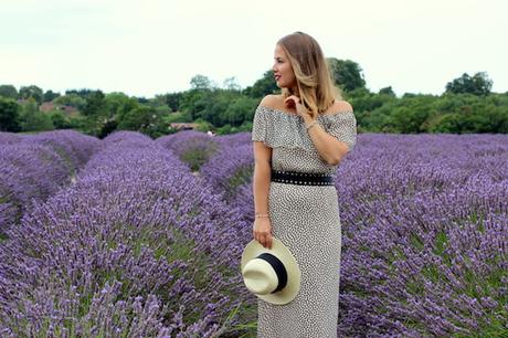 outfit_lavender_fields-8