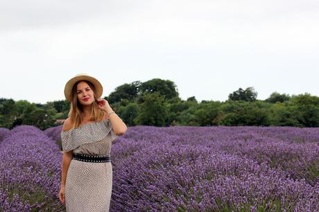 outfit_lavender_fields-4