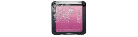 Limited Edition FALLosophy by CATRICE September 2015 - Preview - Gradation Powder Blush