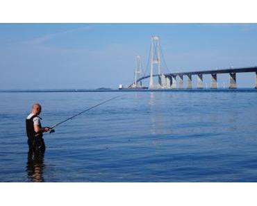 Skandinavien: Delfine mit Pelz