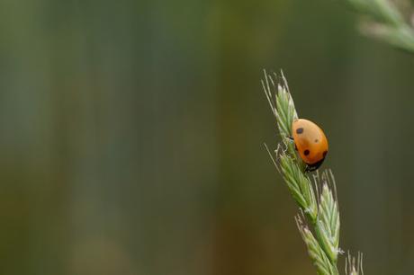 Fotografie - Mein Hobby ? Meine Leidenschaft !