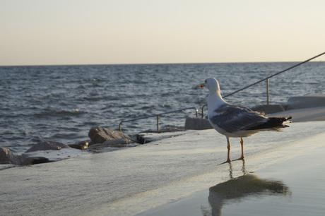 Mein Sommerurlaub 2015 - Kroatien