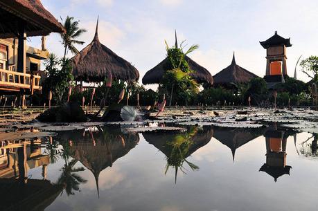 Traditional straw bungalows reflecting in a pond in the middle of rice fields, Ubud, Bali, Indonesia