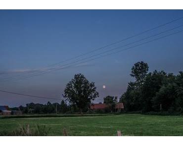 Momentaufnahmen | August 2015