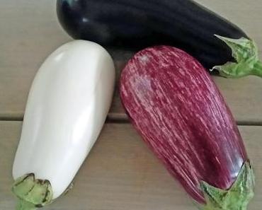Auberginen Piccata oder Eggplant Piccata