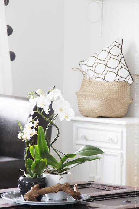 weiße Orchidee auf Couchtisch mit weißer Kommode im Hintergrund