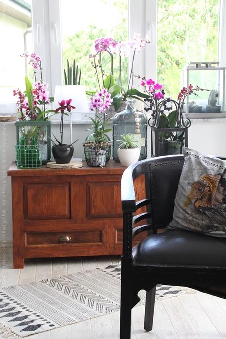 pinke Orchideen auf einer Truhe Teppich und antiker Sessel im Vordergrund