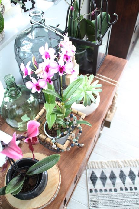pinke Orchideen auf einer Truhe arrangiert