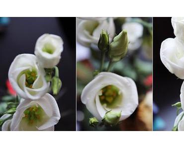 04092015 happy twenty