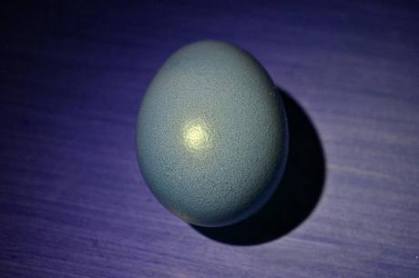 Küchen Trick: Der schnellste Weg ein hartgekochtes Ei zu schälen