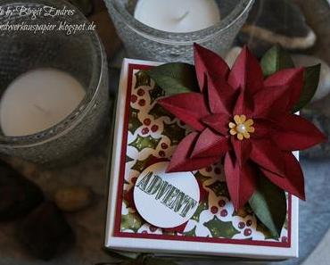 Weihnachtlich aufgeblüht