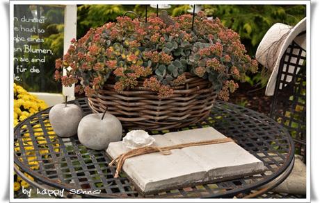 Der Garten im September