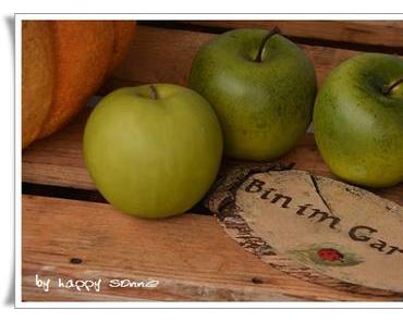 Der Garten im September