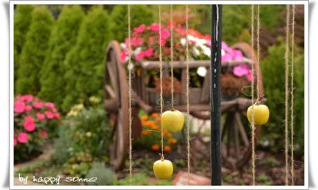 Der Garten im September