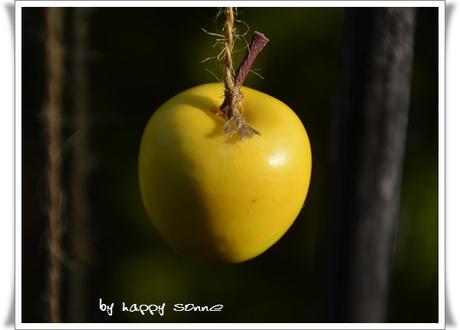 Der Garten im September