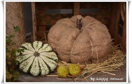 Der Garten im September