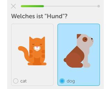 Duolingo: Lerne Englisch – Werbefreier Sprachtrainer
