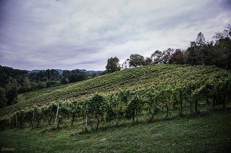 Südsteirische Weinstraße: ein perfektes Herbstwochenende
