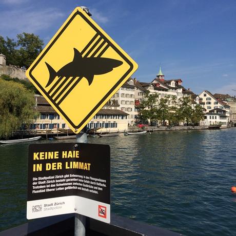 05_Keine-Haie-in-der-Limmat-Zuerich-Schweiz