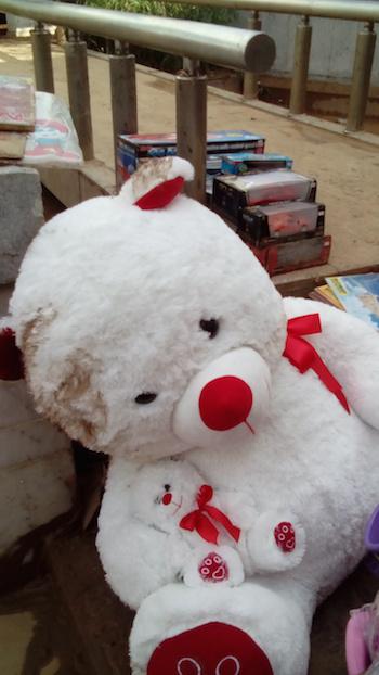 Der weisse Teddy schaut traurig. Ob Spielwarengeschäfte, Sportartikel-Läden oder Secondhand-Boutiquen – das Chaos ist perfekt! Der Schaden geht in die Millionenhöhe.