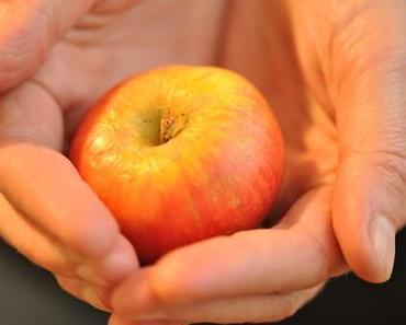 APFEL UND SALZ ...