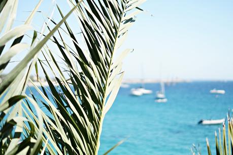 Blog + Fotografie by it's me! - Ses Salines, Ibiza - Blick aufs Meer durch Palmwedel