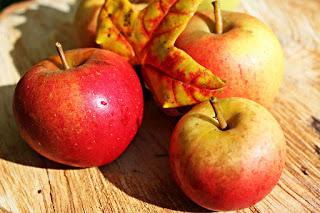 Herbstrezept für einen leckeren Apfelstrudel