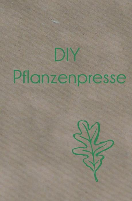 DIY Pflanzenpresse / diy flower press